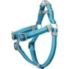 Frisco Outdoor Two Tone Waterproof Stinkproof PVC Dog Harness -Frisco 256580 MAIN. AC SS1800 V1699629305