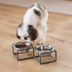Frisco Elevated Diamond Stainless Steel Double Diner Dog & Cat Bowl 15 Frisco Elevated Diamond Stainless Steel Double Diner Dog & Cat Bowl -Frisco 257147 PT8. AC SS1800 V1615840442