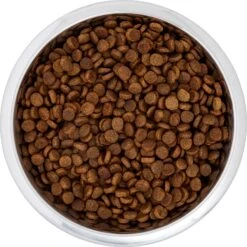 Frisco Black Iron Non-Skid Stainless Steel Dog & Cat Bowl -Frisco 257152 PT4. AC SS1800 V1615311427