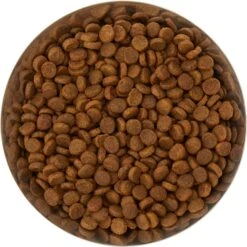 Frisco Flare Non-Skid Stainless Steel Dog & Cat Bowl 15 Frisco Flare Non-Skid Stainless Steel Dog & Cat Bowl -Frisco 257162 PT4. AC SS1800 V1612366692