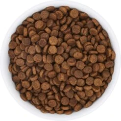 Frisco Bohemian Non-Skid Stainless Steel Dog & Cat Bowl 15 Frisco Bohemian Non-Skid Stainless Steel Dog & Cat Bowl -Frisco 257195 PT4. AC SS1800 V1615311089