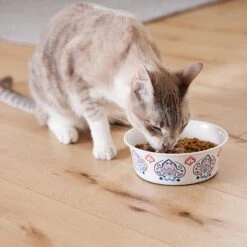Frisco Bohemian Non-Skid Stainless Steel Dog & Cat Bowl 18 Frisco Bohemian Non-Skid Stainless Steel Dog & Cat Bowl -Frisco 257195 PT7. AC SS1800 V1615989147