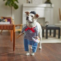 Frisco Front Walking French Artist Dog & Cat Costume 17 Frisco Front Walking French Artist Dog & Cat Costume -Frisco 260956 PT8. AC SS1800 V1689623916