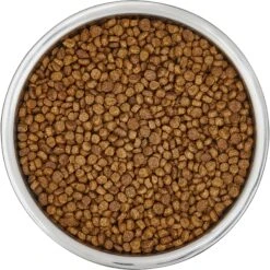 Frisco Insulated Non-Skid Flair Stainless Steel Dog & Cat Bowl -Frisco 261753 PT4. AC SS1800 V1623937583