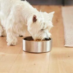 Frisco Insulated Non-Skid Flair Stainless Steel Dog & Cat Bowl -Frisco 261753 PT5. AC SS1800 V1623937469