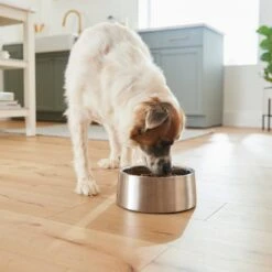 Frisco Insulated Non-Skid Stainless Steel Dog & Cat Bowl -Frisco 261757 PT8. AC SS1800 V1623937364