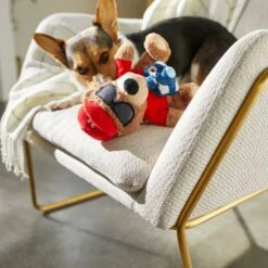 Frisco Road Trip Tourist Bear Plush Squeaky Dog Toy 7 Frisco Road Trip Tourist Bear Plush Squeaky Dog Toy -Frisco 261995 PT3. AC SS1800 V1618598730