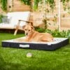 Frisco Indoor/Outdoor Arrow Print Pillow Dog Bed W/Removable Cover 1 Frisco Indoor/Outdoor Arrow Print Pillow Dog Bed W/Removable Cover -Frisco 262153 MAIN. AC SS1800 V1619807962