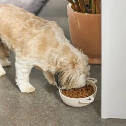 Frisco Dog Face Non-skid Ceramic Cat & Dog Bowl -Frisco 270226 PT2. AC SS1800 V1620762156