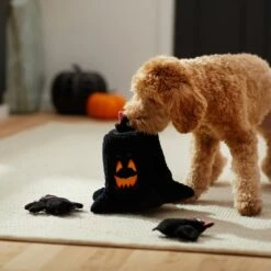 Frisco Halloween Haunted Tree Hide & Seek Puzzle Plush Squeaky Dog Toy -Frisco 270488 PT3. AC SS1800 V1624817078