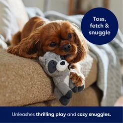 Frisco Camping Raccoon Plush Squeaky Dog Toy 12 Frisco Camping Raccoon Plush Squeaky Dog Toy -Frisco 271003 PT4. AC SS1800 V1695670777