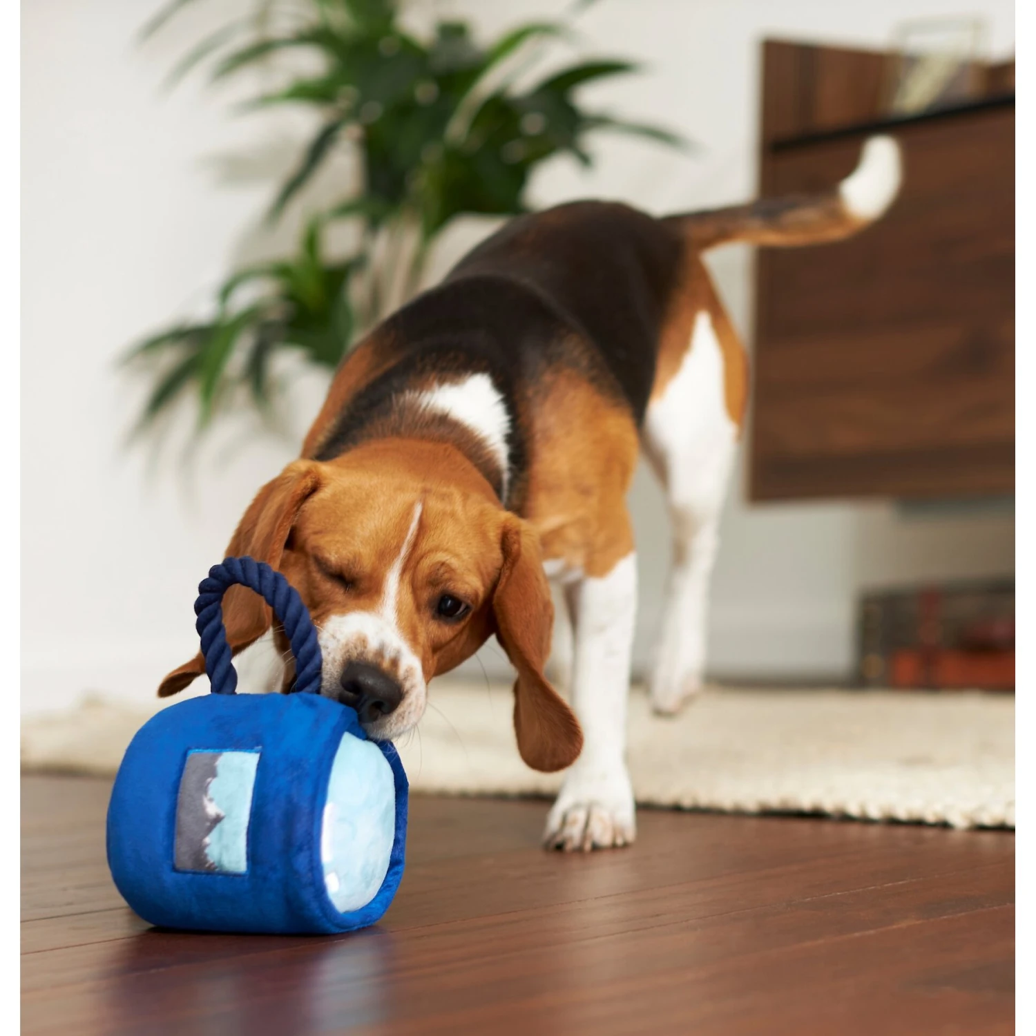 Frisco Camping Mug Plush With Rope Squeaky Dog Toy 5 Frisco Camping Mug Plush With Rope Squeaky Dog Toy - Image 3