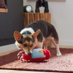 Frisco Camping Lantern Plush With Rope Squeaky Dog Toy 7 Frisco Camping Lantern Plush With Rope Squeaky Dog Toy -Frisco 271013 PT3. AC SS1800 V1625160766