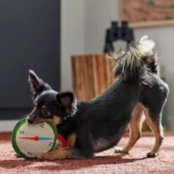 Frisco Camping Compass Plush With Rope Squeaky Dog Toy 7 Frisco Camping Compass Plush With Rope Squeaky Dog Toy -Frisco 271020 PT3. AC SS1800 V1625008965