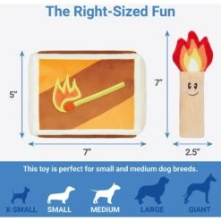 Frisco Camping Match Box 2-in-1 Plush Squeaky Dog Toy -Frisco 271029 PT1. AC SS1800 V1626368486