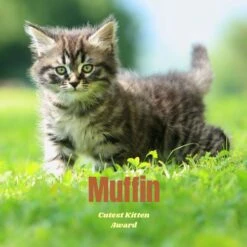 Frisco Personalized Basic Ceramic Photo Tile With Stand -Frisco 271227 PT2. AC SS1800 V1619198223