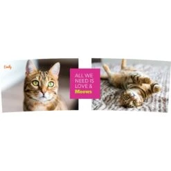 Frisco "Classic" Double Walled Personalized Tumbler. 30-oz -Frisco 272541 PT2. AC SS1800 V1625686095