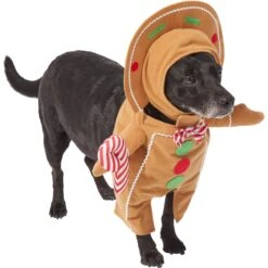 Frisco Front Walking Gingerbread Dog & Cat Costume -Frisco 276156 PT3. AC SS1800 V1631660334