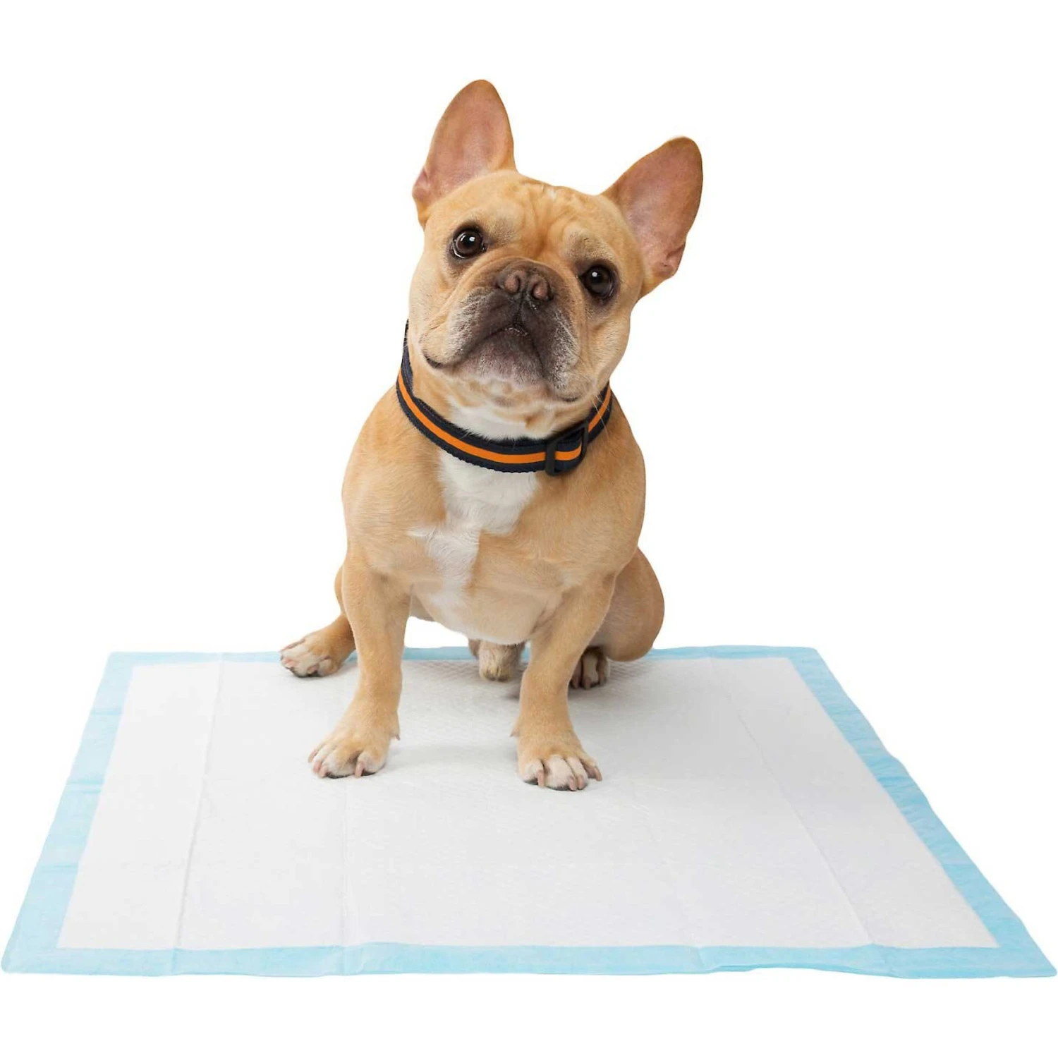 Frisco Premium Dog Training & Potty Pads & Frisco Premium Extra Large Dog Training & Potty Pads 7 Frisco Premium Dog Training & Potty Pads & Frisco Premium Extra Large Dog Training & Potty Pads - Image 5