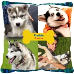 Frisco "Contemporary #2" Throw Pillow 16 X 16 -Frisco 276901 PT2. AC SS1800 V1625686286