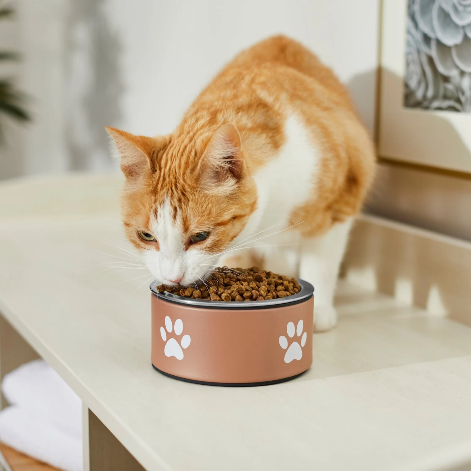 Frisco Paw Print Non-Skid Stainless Steel Dog & Cat Bowl 6 Frisco Paw Print Non-Skid Stainless Steel Dog & Cat Bowl - Image 4