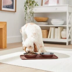 Frisco Silicone Stainless Steel Double Diner Dog & Cat Bowl, Brown -Frisco 277551 PT2. AC SS1800 V1630346531