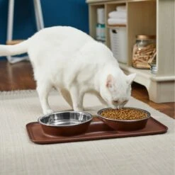 Frisco Silicone Stainless Steel Double Diner Dog & Cat Bowl, Brown -Frisco 277551 PT3. AC SS1800 V1630348104