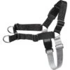 Frisco Basic No Pull Harness -Frisco 277873 MAIN. AC SS1800 V1629758946