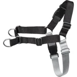 Frisco Basic No Pull Harness