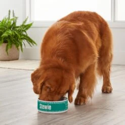 Frisco General Pet Ceramic Personalized Dog & Cat Bowl -Frisco 278922 PT3. AC SS1800 V1629147409