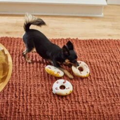 Frisco Fall Maple Bacon Donuts Plush Squeaky Dog Toy, 3 Count 9 Frisco Fall Maple Bacon Donuts Plush Squeaky Dog Toy, 3 Count -Frisco 285613 PT3. AC SS1800 V1629725241