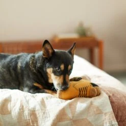 Frisco Fall Boot Plush Squeaky Dog Toy -Frisco 285619 PT3. AC SS1800 V1629724969