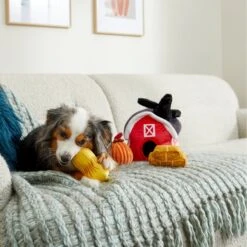Frisco Fall Farmhouse Hide & Seek Puzzle Plush Squeaky Dog Toy 9 Frisco Fall Farmhouse Hide & Seek Puzzle Plush Squeaky Dog Toy -Frisco 285629 PT3. AC SS1800 V1629725107