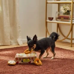 Frisco Fall Box Of Donuts Hide & Seek Puzzle Plush Squeaky Dog Toy 9 Frisco Fall Box Of Donuts Hide & Seek Puzzle Plush Squeaky Dog Toy -Frisco 285639 PT3. AC SS1800 V1629725027