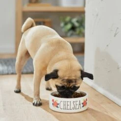 Frisco Flower Ceramic Personalized Dog Bowl 11 Frisco Flower Ceramic Personalized Dog Bowl -Frisco 286985 PT2. AC SS1800 V1625764713