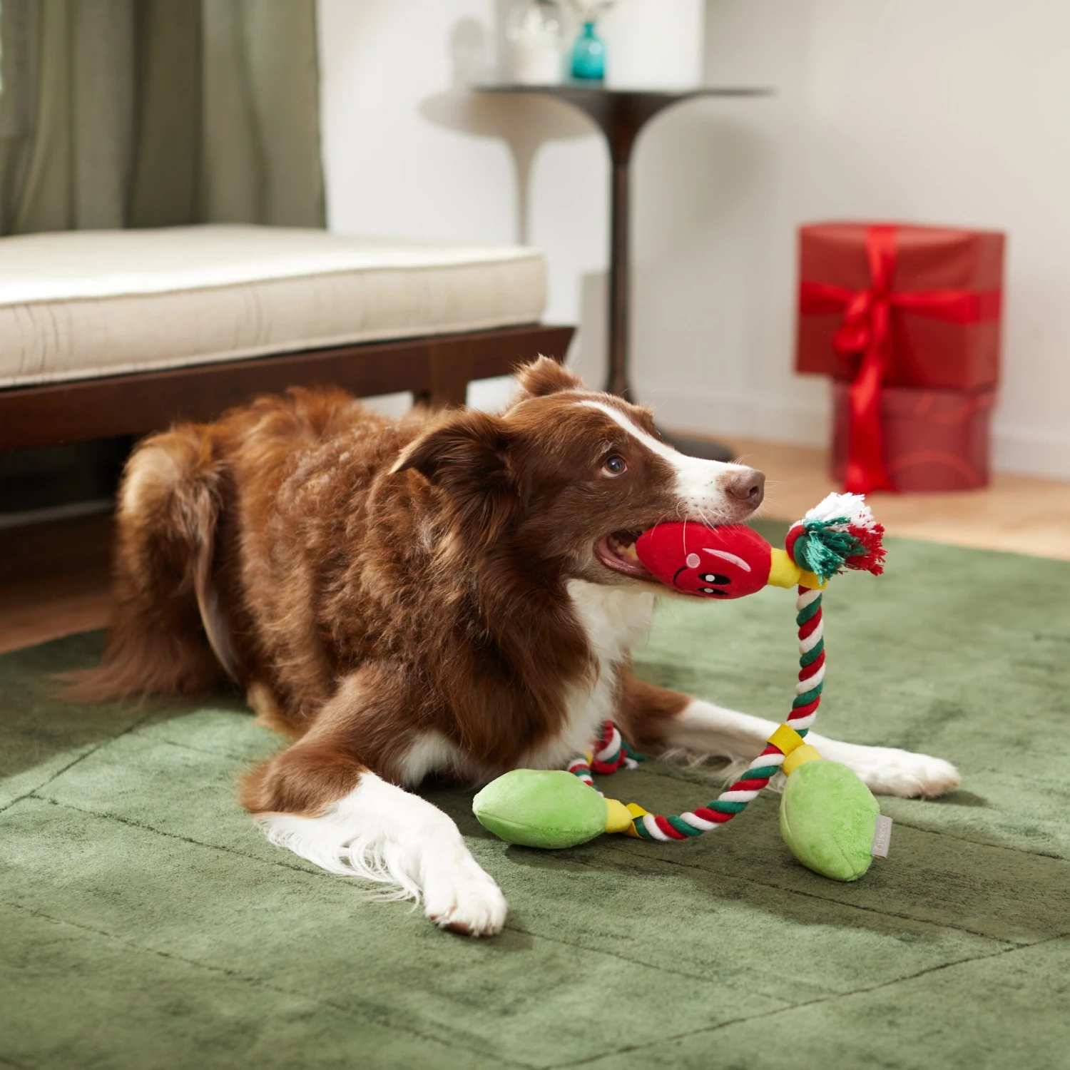 Frisco Holiday Lights Plush With Rope Squeaky Dog Toy 5 Frisco Holiday Lights Plush With Rope Squeaky Dog Toy - Image 3