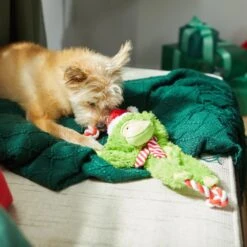 Frisco Holiday Monkey Plush With Rope Squeaky Dog Toy -Frisco 287115 PT3. AC SS1800 V1632774182