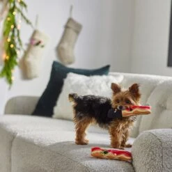 Frisco Holiday Bacon Plush Squeaky Dog Toy, 2 Count 7 Frisco Holiday Bacon Plush Squeaky Dog Toy, 2 Count -Frisco 287143 PT3. AC SS1800 V1632774888