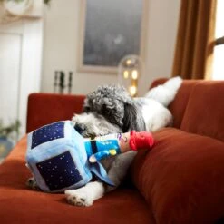 Frisco Nutcracker-in-a-Box Plush Squeaky Dog Toy -Frisco 287173 PT3. AC SS1800 V1632773316