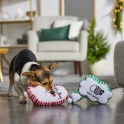 Frisco Holiday Thought Bubble Plush Squeaky Dog Toy, 2 Count -Frisco 287195 PT3. AC SS1800 V1632772983