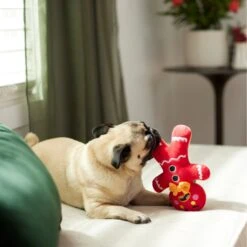 Frisco Holiday Naughty Or Nice Gingerbread Man Reversible Plush Squeaky Dog Toy 11 Frisco Holiday Naughty Or Nice Gingerbread Man Reversible Plush Squeaky Dog Toy -Frisco 287217 PT3. AC SS1800 V1632775304