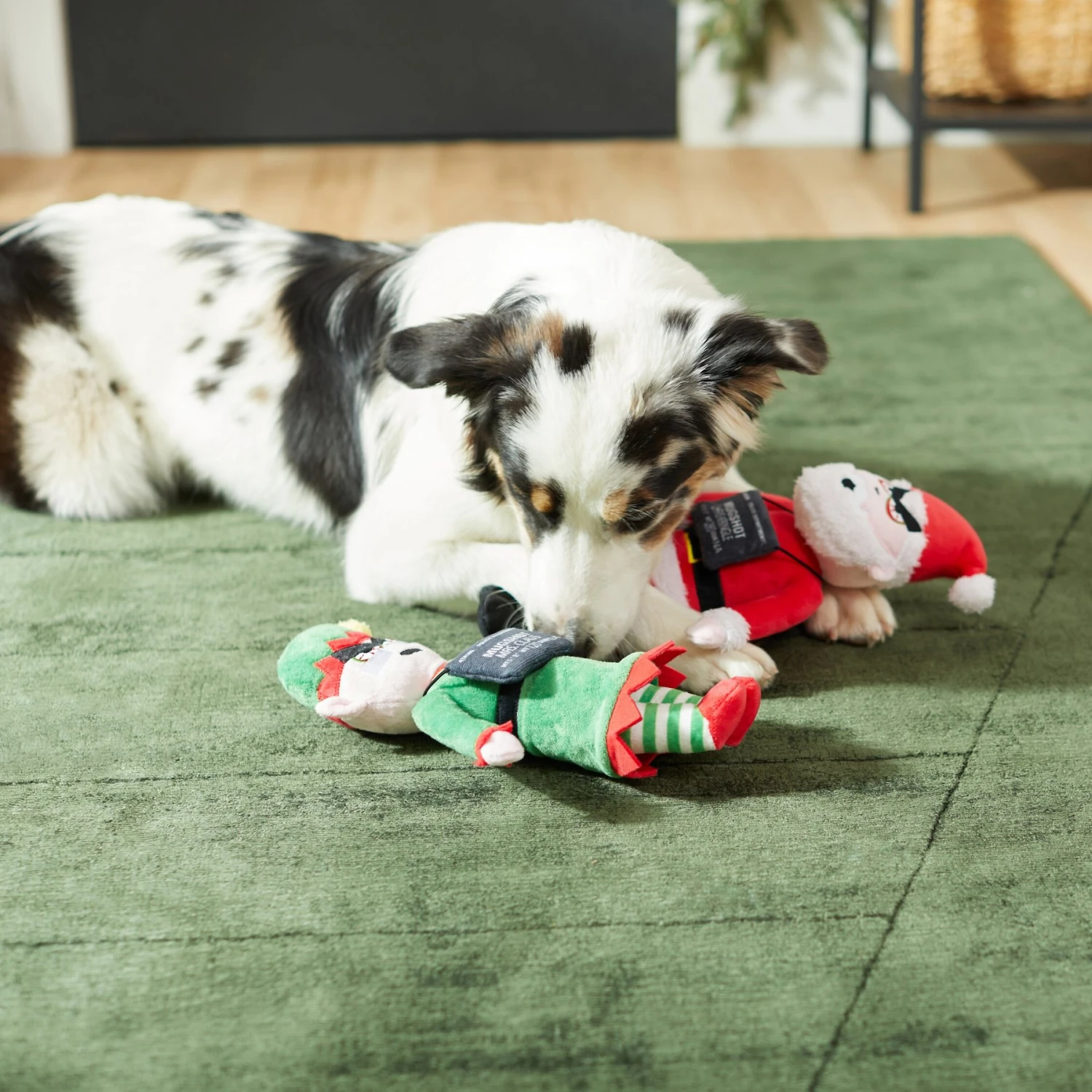 Frisco Holiday Bad Santa & Elf Plush Squeaky Dog Toy 5 Frisco Holiday Bad Santa & Elf Plush Squeaky Dog Toy - Image 3