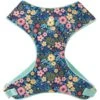 Frisco Fashion Over-The-Head Harness, Tropical Floral