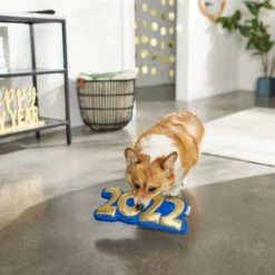 Frisco New Year's Eve 2022 Plush Squeaky Dog Toy 9 Frisco New Year's Eve 2022 Plush Squeaky Dog Toy -Frisco 288476 PT3. AC SS1800 V1638287927