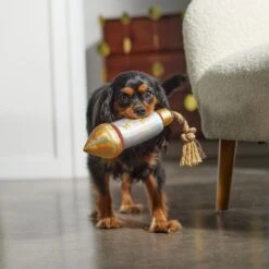 Frisco Firework Plush With Rope Squeaky Dog Toy -Frisco 288480 PT3. AC SS1800 V1638291301