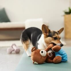 Frisco Yoga Bear Plush Squeaky Dog Toy 7 Frisco Yoga Bear Plush Squeaky Dog Toy -Frisco 288903 PT3. AC SS1800 V1638288516