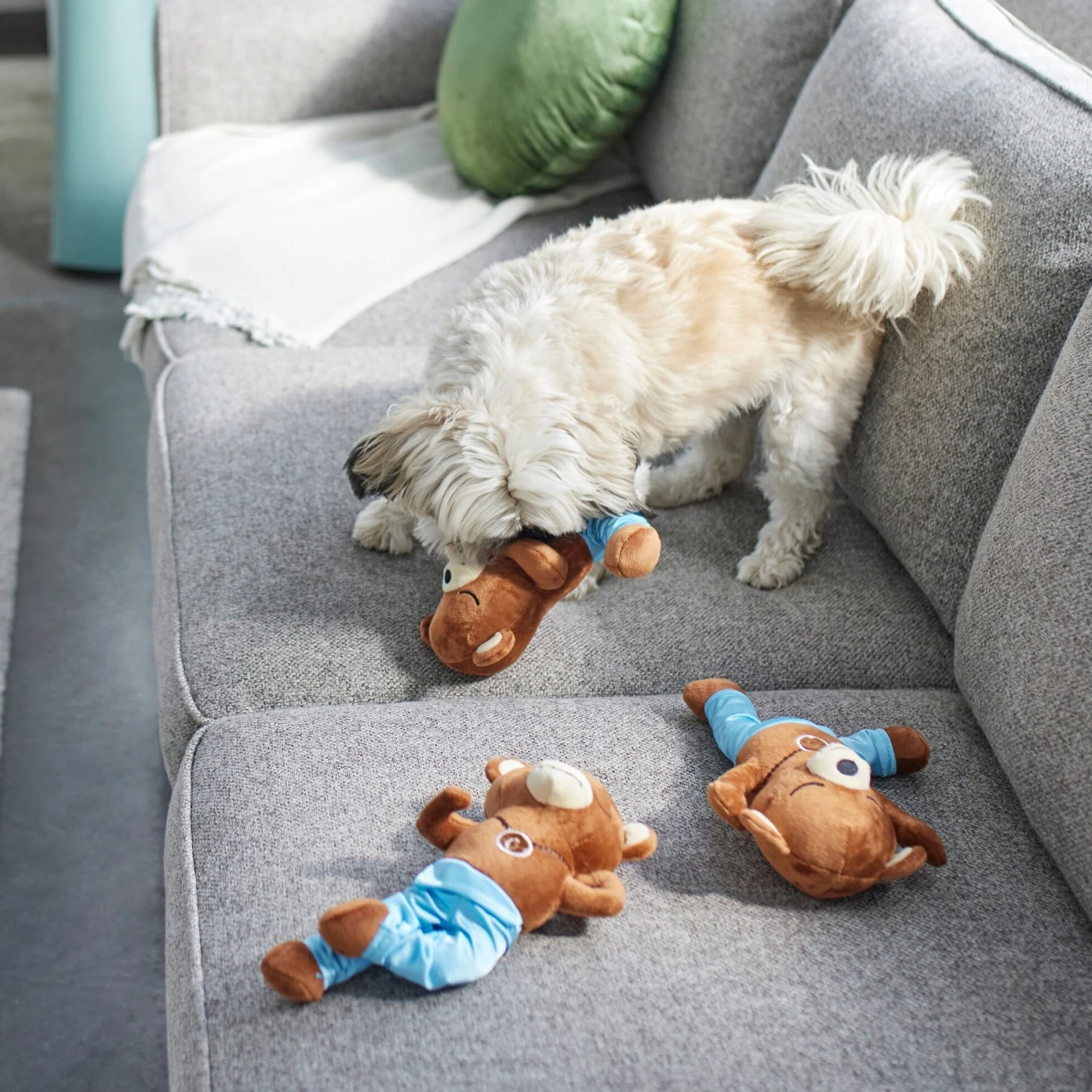 Frisco New Year, New Me Namaste Bear Plush Squeaky Dog Toy 5 Frisco New Year, New Me Namaste Bear Plush Squeaky Dog Toy - Image 3