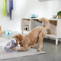 Frisco Scale Plush Squeaky Dog Toy 7 Frisco Scale Plush Squeaky Dog Toy -Frisco 288911 PT3. AC SS1800 V1638289585