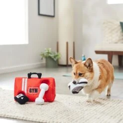 Frisco Gym Bag Hide & Seek Puzzle Plush Squeaky Dog Toy -Frisco 288913 PT3. AC SS1800 V1638289728