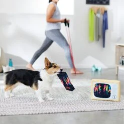 Frisco TV & VHS Tape Plush Squeaky Dog Toy, 2 Count 7 Frisco TV & VHS Tape Plush Squeaky Dog Toy, 2 Count -Frisco 288935 PT3. AC SS1800 V1638291435